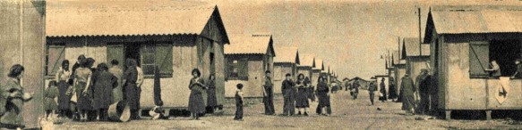 Montreuil-Bellay (49) - Allée centrale du camp de concentration de Tziganes